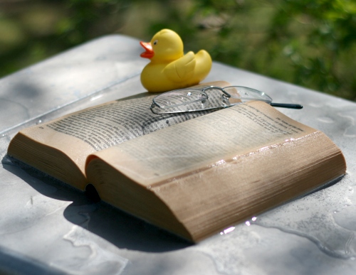 En dyngsur pocket